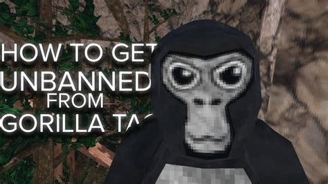 Do you want to know how to get unbanned in Gorilla Tag, the popular VR game where you can swing and climb as a gorilla? Watch this video to learn the latest method that works in 2021. You will ...